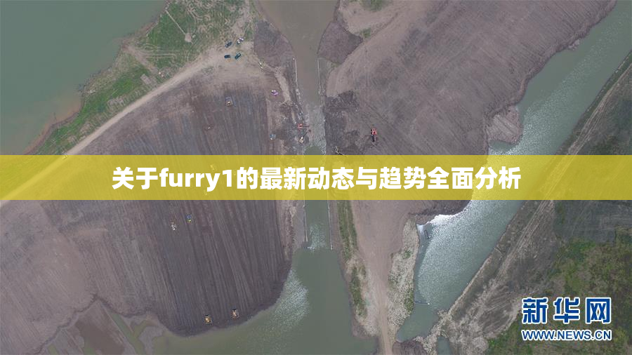 关于furry1的最新动态与趋势全面分析