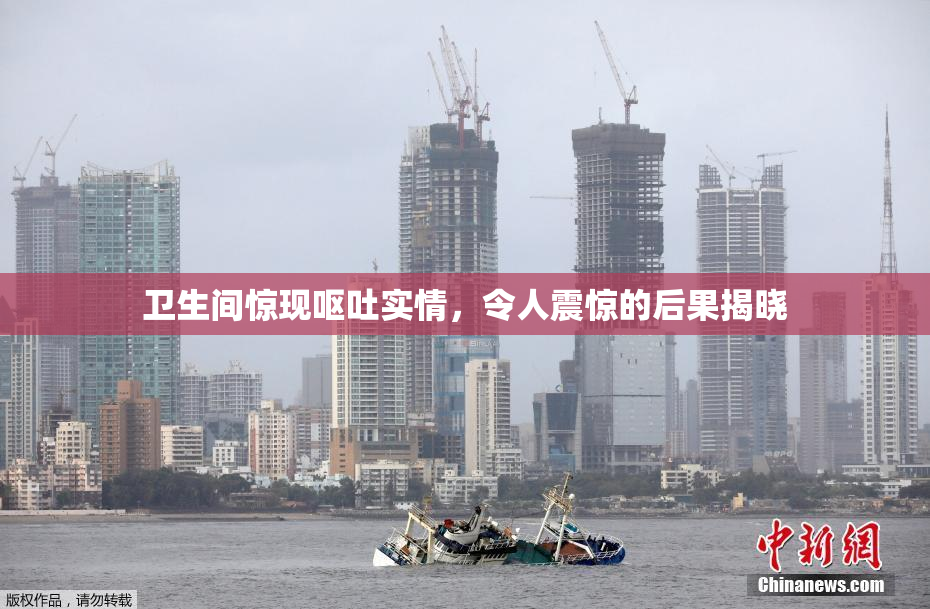 卫生间惊现呕吐实情，令人震惊的后果揭晓