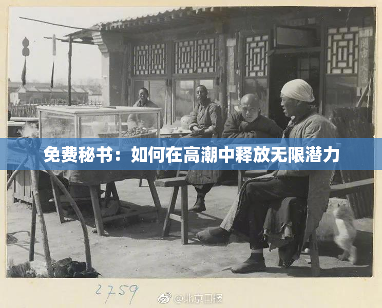 免费秘书：如何在高潮中释放无限潜力