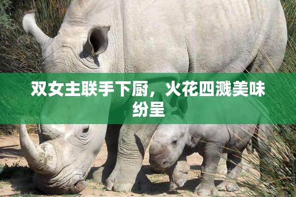 双女主联手下厨，火花四溅美味纷呈