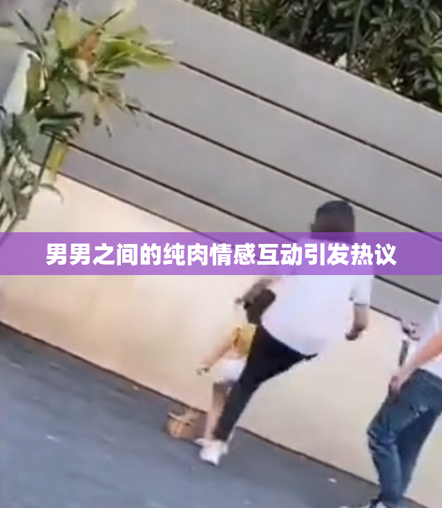 男男之间的纯肉情感互动引发热议