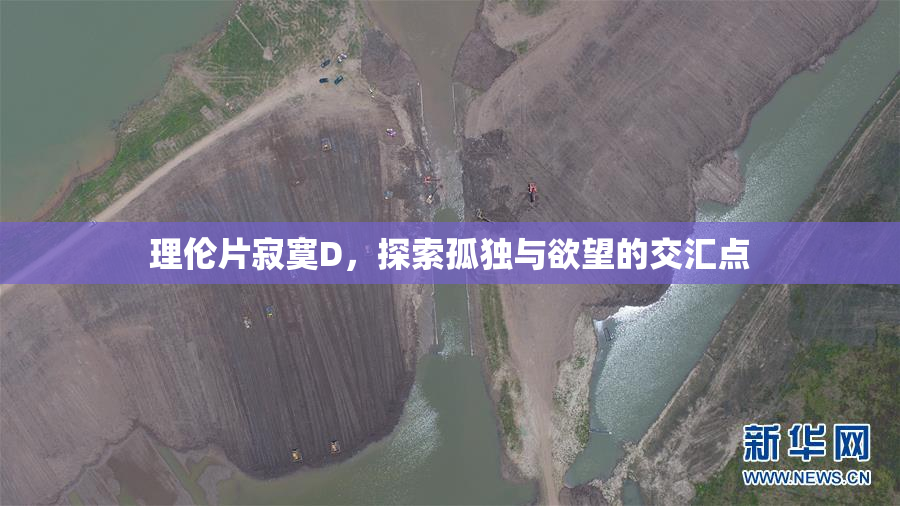 理伦片寂寞D，探索孤独与欲望的交汇点