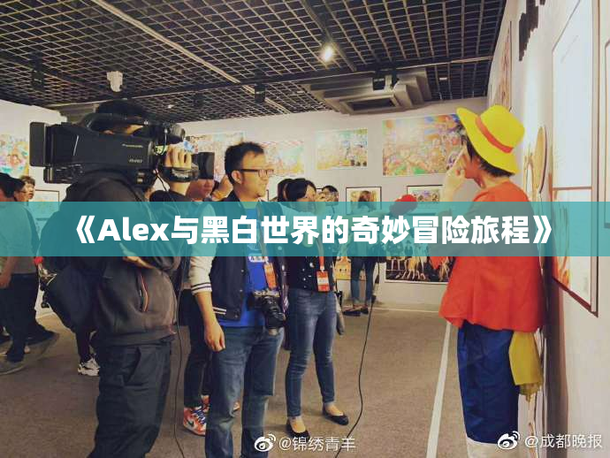 《Alex与黑白世界的奇妙冒险旅程》