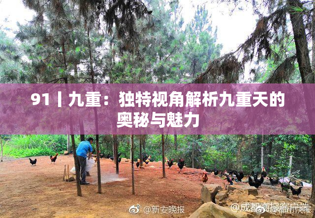 91丨九重：独特视角解析九重天的奥秘与魅力