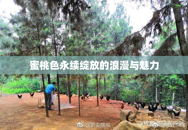 蜜桃色永续绽放的浪漫与魅力