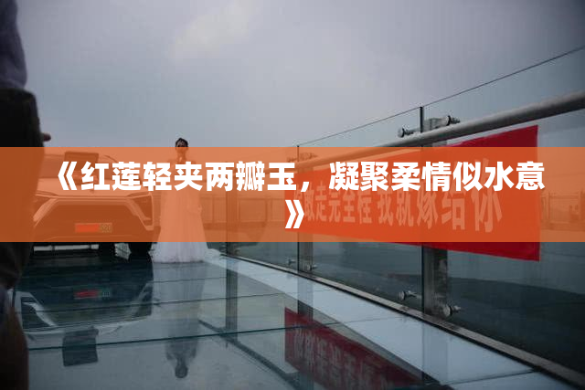 《红莲轻夹两瓣玉，凝聚柔情似水意》