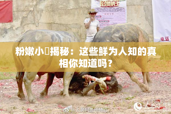 粉嫩小泬揭秘：这些鲜为人知的真相你知道吗？