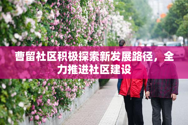 曹留社区积极探索新发展路径，全力推进社区建设