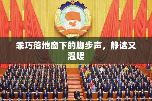 乖巧落地窗下的脚步声，静谧又温暖