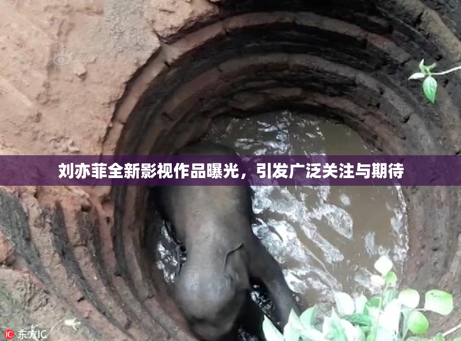 刘亦菲全新影视作品曝光，引发广泛关注与期待