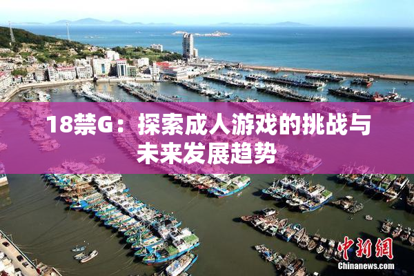 18禁G：探索成人游戏的挑战与未来发展趋势