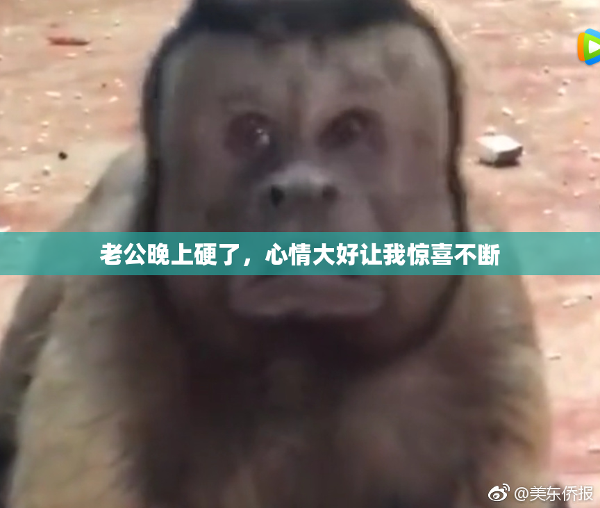 老公晚上硬了，心情大好让我惊喜不断