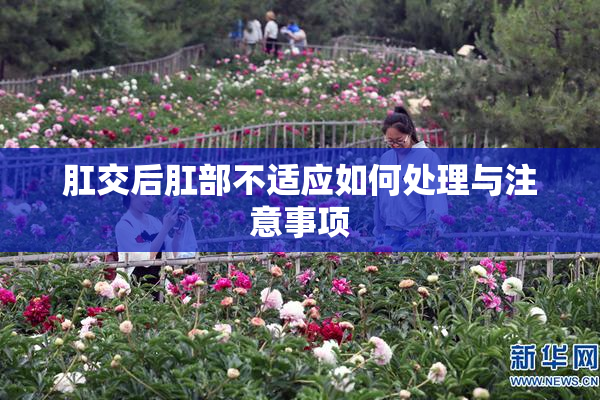 肛交后肛部不适应如何处理与注意事项
