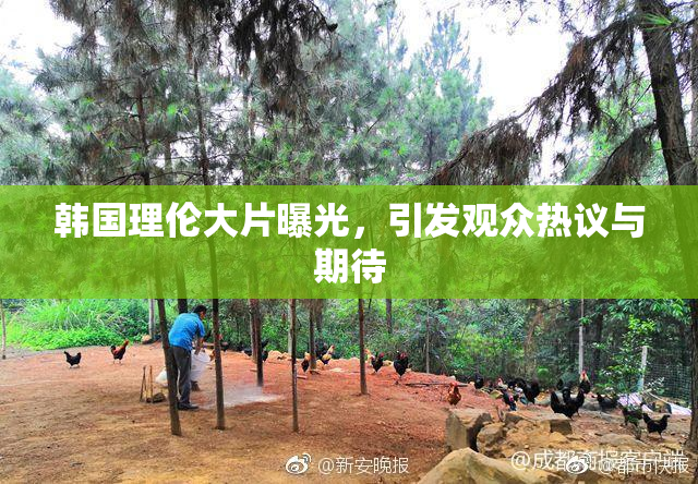 韩国理伦大片曝光，引发观众热议与期待