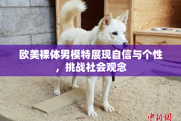 欧美裸体男模特展现自信与个性，挑战社会观念