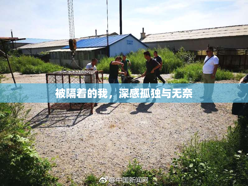 被隔着的我，深感孤独与无奈