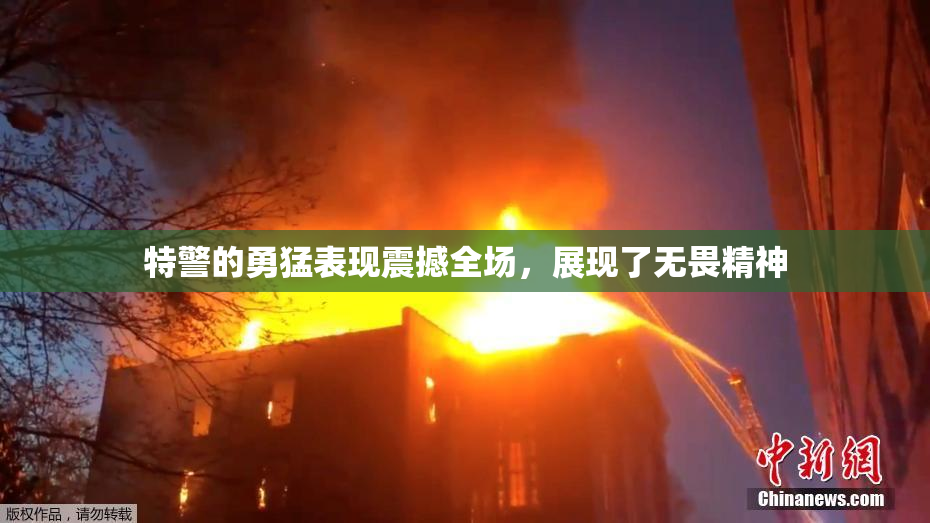 特警的勇猛表现震撼全场，展现了无畏精神