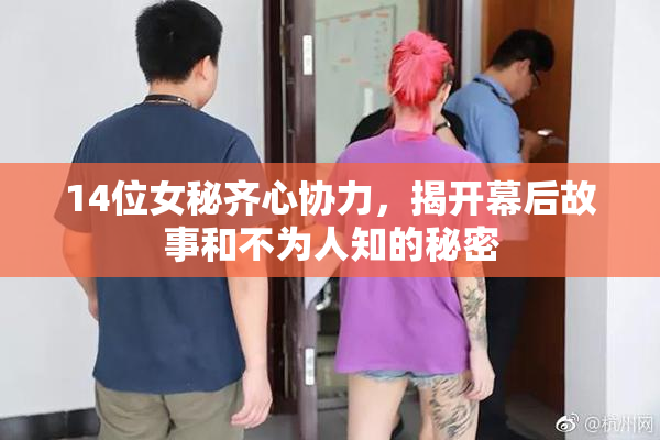 14位女秘齐心协力，揭开幕后故事和不为人知的秘密