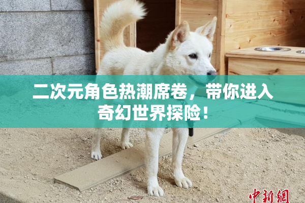 二次元角色热潮席卷，带你进入奇幻世界探险！