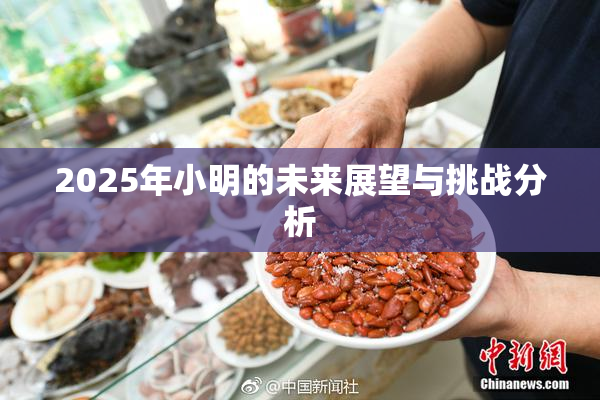 2025年小明的未来展望与挑战分析