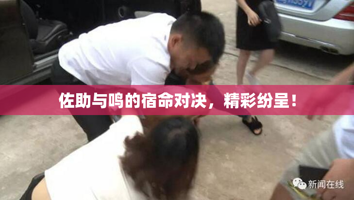 佐助与鸣的宿命对决，精彩纷呈！
