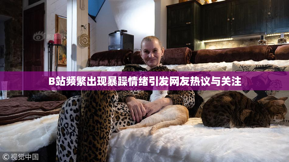 B站频繁出现暴躁情绪引发网友热议与关注