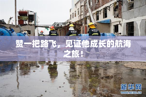 赞一把路飞，见证他成长的航海之旅！