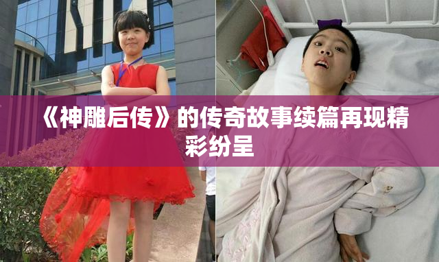 《神雕后传》的传奇故事续篇再现精彩纷呈
