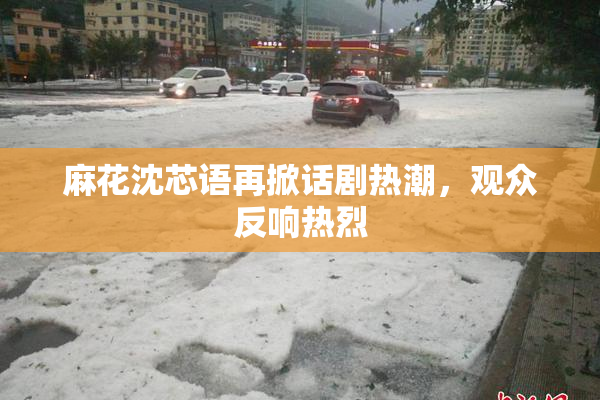 麻花沈芯语再掀话剧热潮，观众反响热烈