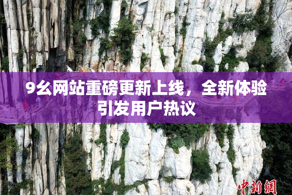 9幺网站重磅更新上线，全新体验引发用户热议