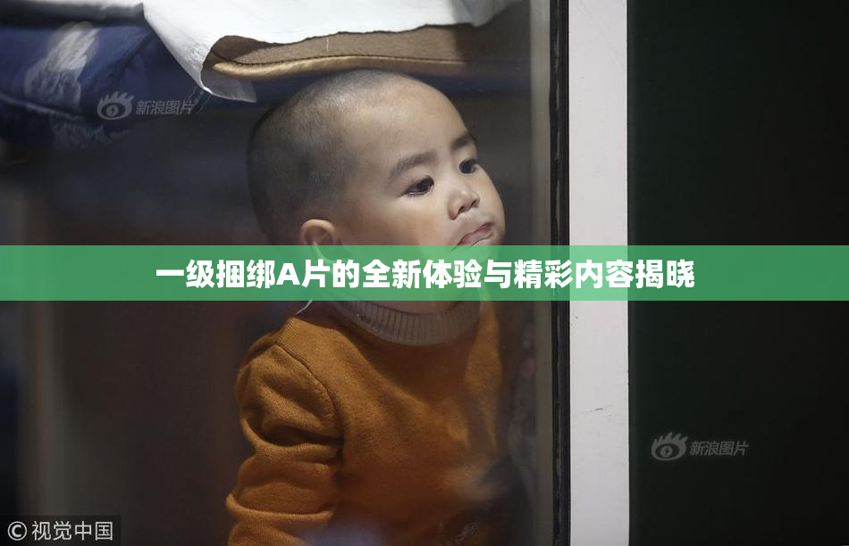 一级捆绑A片的全新体验与精彩内容揭晓