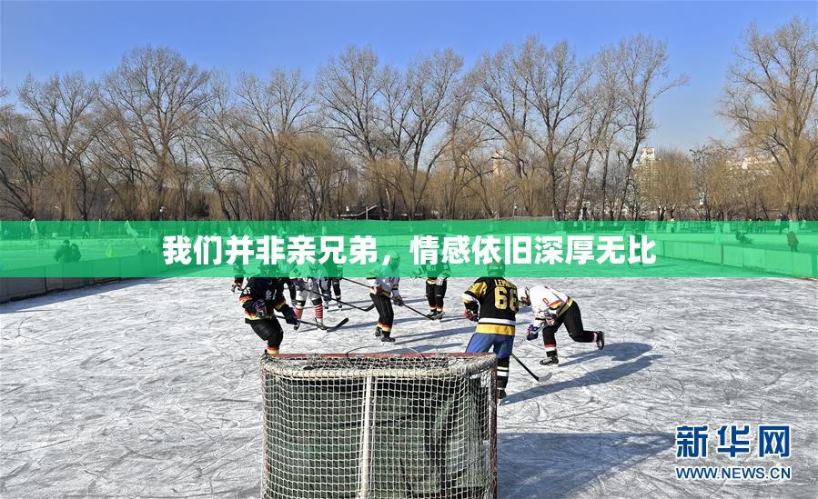我们并非亲兄弟，情感依旧深厚无比