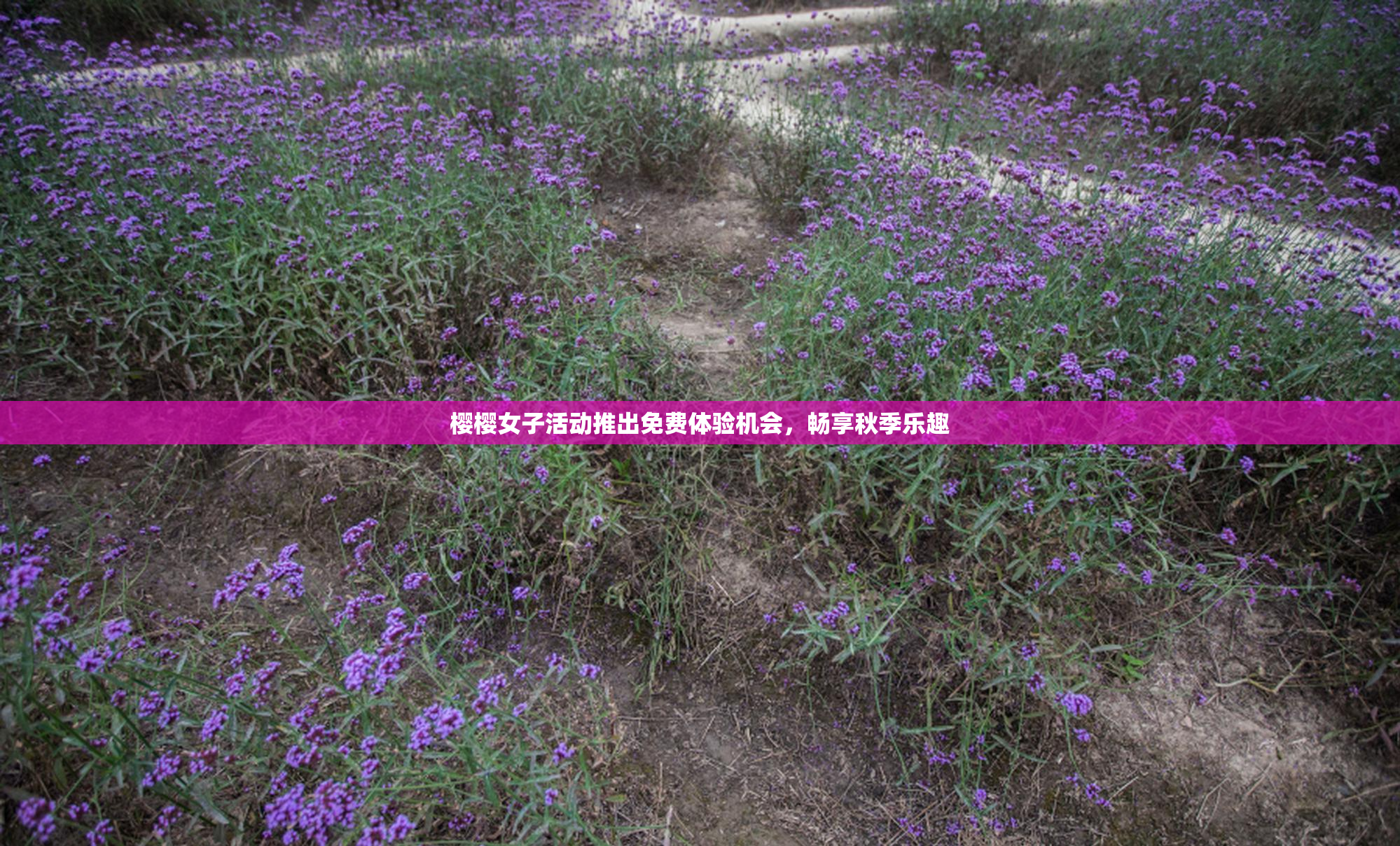 樱樱女子活动推出免费体验机会，畅享秋季乐趣