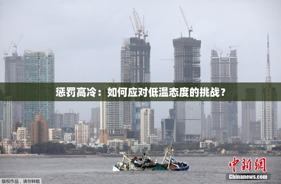 惩罚高冷：如何应对低温态度的挑战？