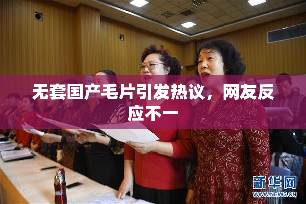 无套国产毛片引发热议，网友反应不一