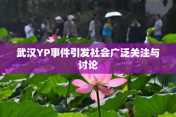 武汉YP事件引发社会广泛关注与讨论