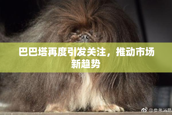 巴巴塔再度引发关注，推动市场新趋势