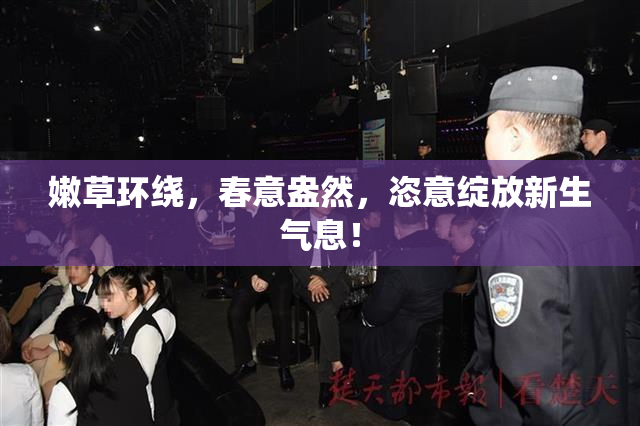 嫩草环绕，春意盎然，恣意绽放新生气息！