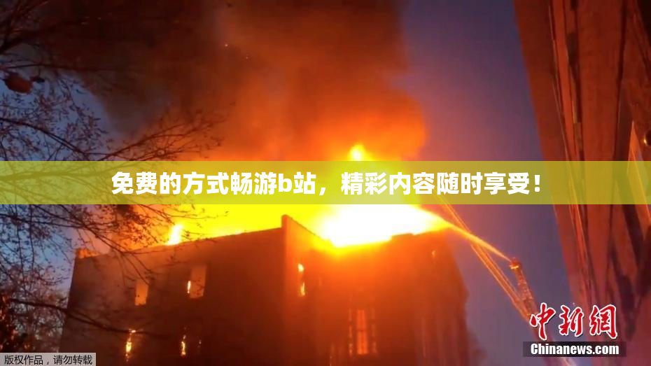 免费的方式畅游b站，精彩内容随时享受！