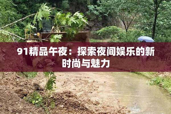 91精品午夜：探索夜间娱乐的新时尚与魅力