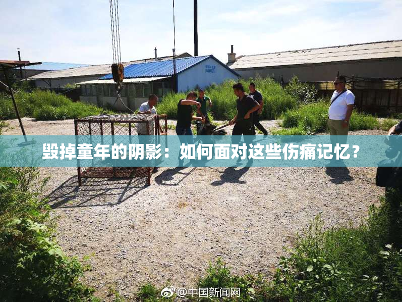 毁掉童年的阴影：如何面对这些伤痛记忆？