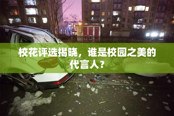 校花评选揭晓，谁是校园之美的代言人？
