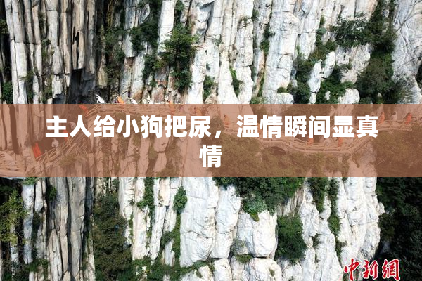 主人给小狗把尿，温情瞬间显真情
