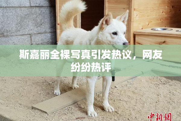 斯嘉丽全裸写真引发热议，网友纷纷热评