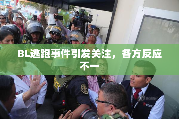 BL逃跑事件引发关注，各方反应不一