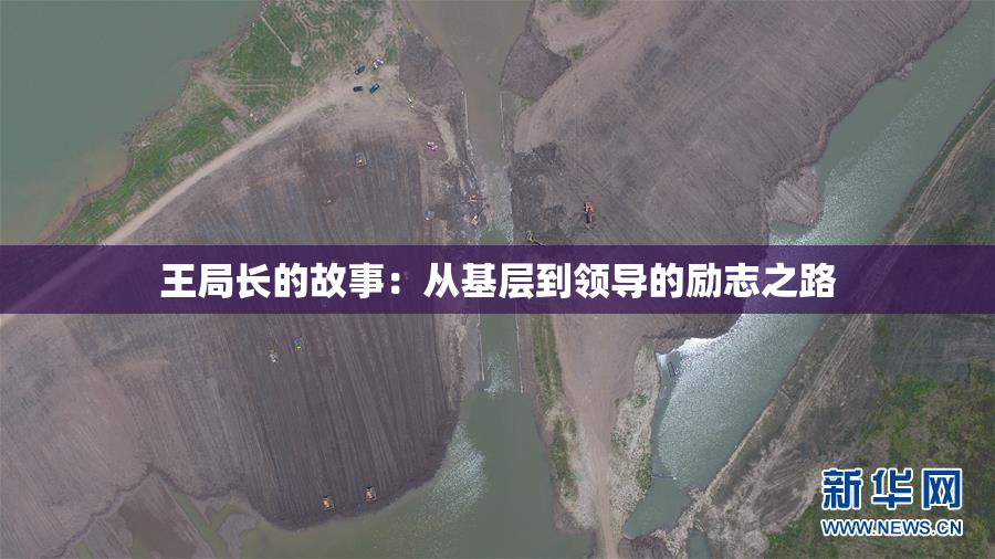 王局长的故事：从基层到领导的励志之路