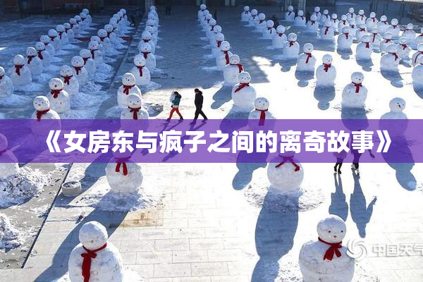 《女房东与疯子之间的离奇故事》