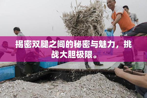 揭密双腿之间的秘密与魅力，挑战大胆极限。