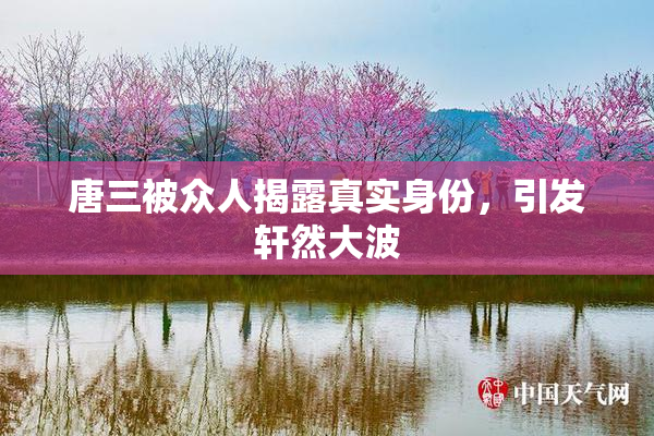 唐三被众人揭露真实身份，引发轩然大波
