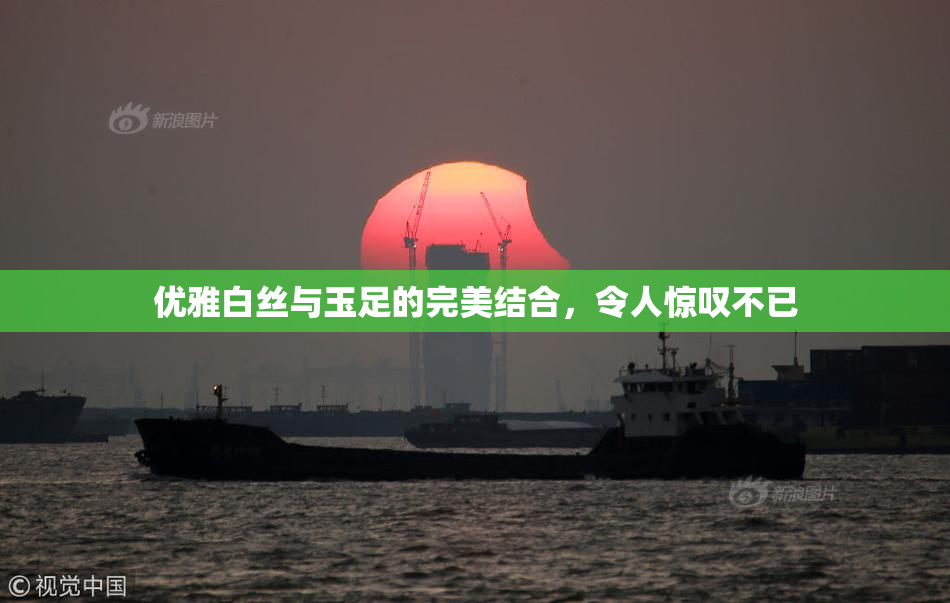 优雅白丝与玉足的完美结合，令人惊叹不已